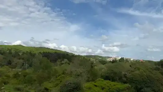 Виола - Рыбацкий - 150