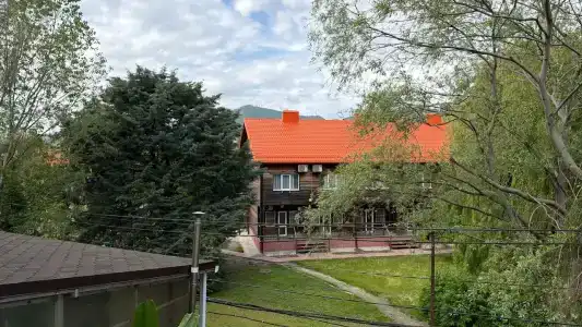 Виола - Рыбацкий - 33