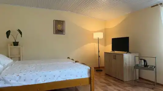 Виола - Рыбацкий - 24