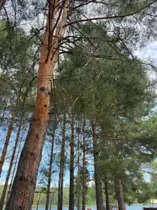 Кама с рассвета ДО заката - 57