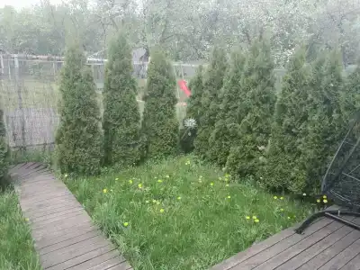 Кондуки - 92