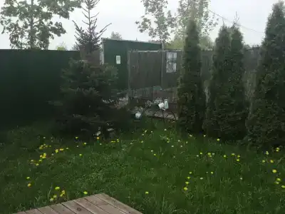 Кондуки - 93