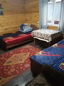 Медуза - 24