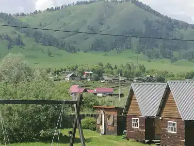 Золотая пчела - 52