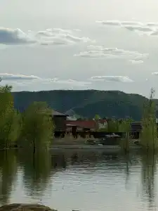 Базилик - 39