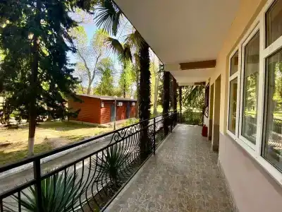 Платан - 49