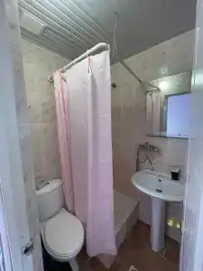 Платан - 47
