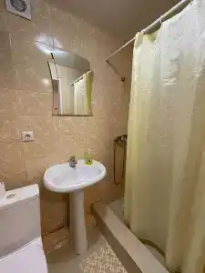 Платан - 50