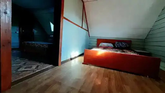 Три клена - 85