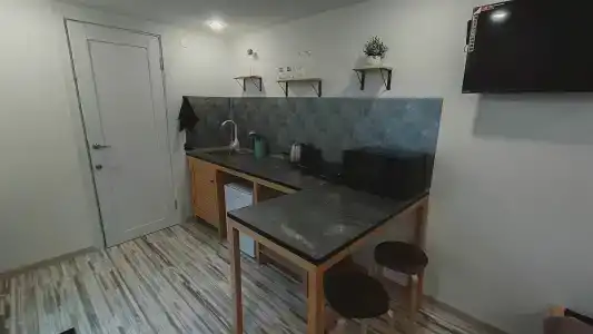 Ёлки - 66