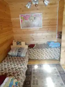 Прислон - 55