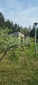 Свободное время - 39