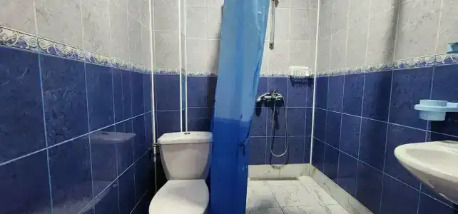 Дельфина - 54