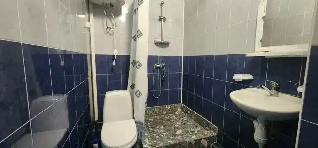 Дельфина - 58