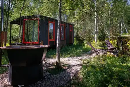 Икс-Лес - 91