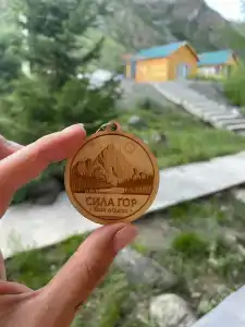 Сила Гор - 14
