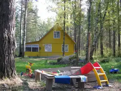 Холодный ручей - 51