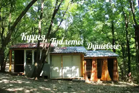 Кубанец - 51