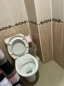 Алмаз - 42