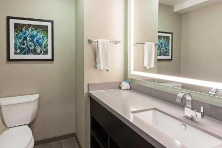 Holiday Inn Express Hollywood Walk Of Fame, An Ihg - 218