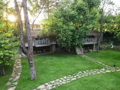 Golden Key Bordubet - 236