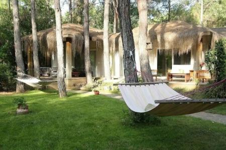 Golden Key Bordubet - 104