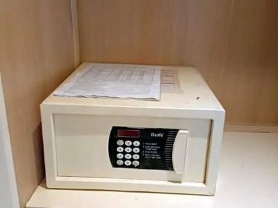 Cairo Pyramids - 541