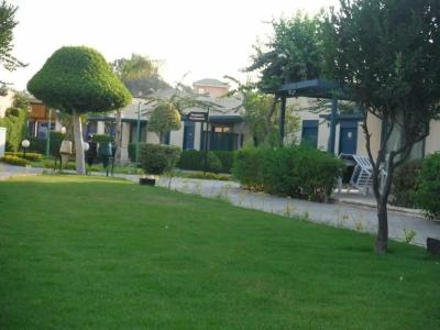 Cairo Pyramids - 118