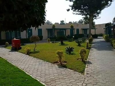 Cairo Pyramids - 539