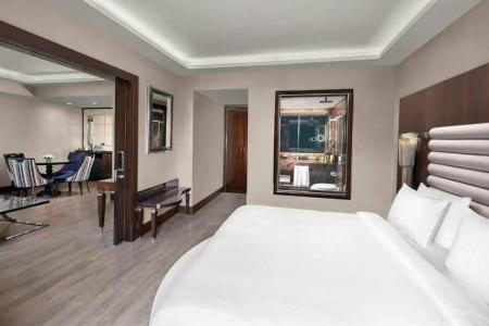 DoubleTree by Hilton Istanbul Esentepe - 116
