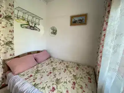 Подсолнух - 51