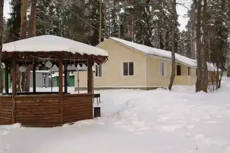 Лесная дача - 123