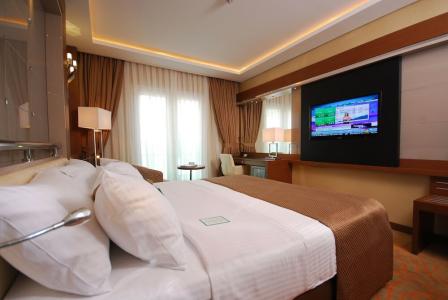 Holiday Inn Ankara-Kavaklidere, An Ihg - 153
