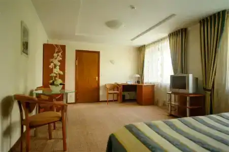 Спутник - 132