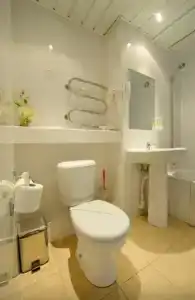 Спутник - 113