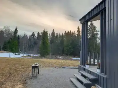 Лаванда - 62