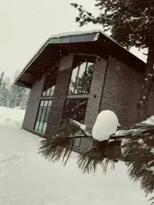 Paradise House - 31