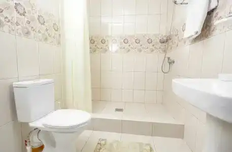 Дионисий - 46