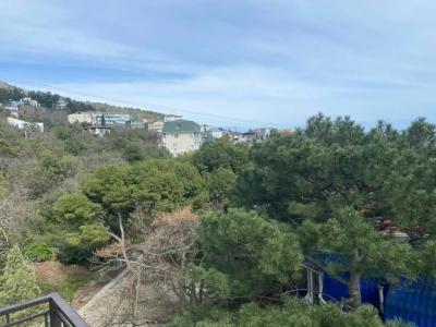 Розмарин - 50