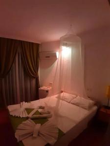 Caretta Caretta - 52