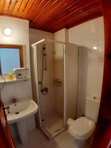 Caretta Caretta - 69