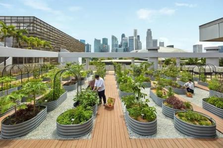 Parkroyal Collection Marina Bay, Singapore - Sg Clean, Staycation Approved - 43
