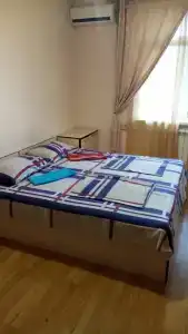 Дельфин - 37