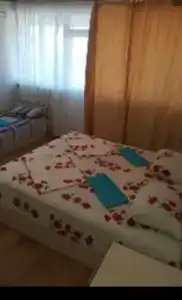 Дельфин - 33