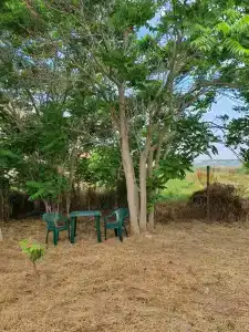 Варенька - 47