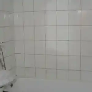 Степной - 29