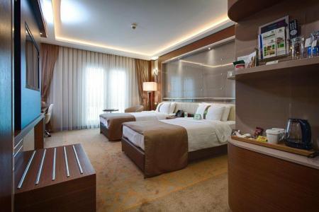 Holiday Inn Ankara-Kavaklidere, An Ihg - 77