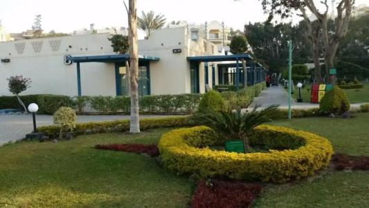 Cairo Pyramids - 325