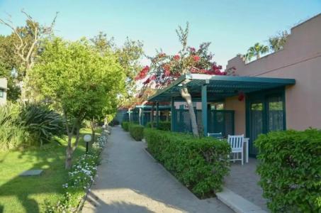 Cairo Pyramids - 499