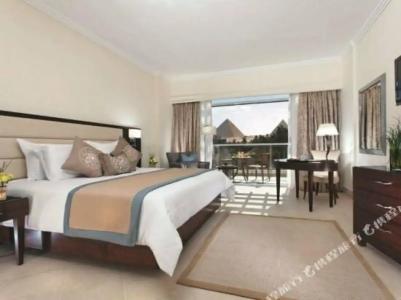 Cairo Pyramids - 442